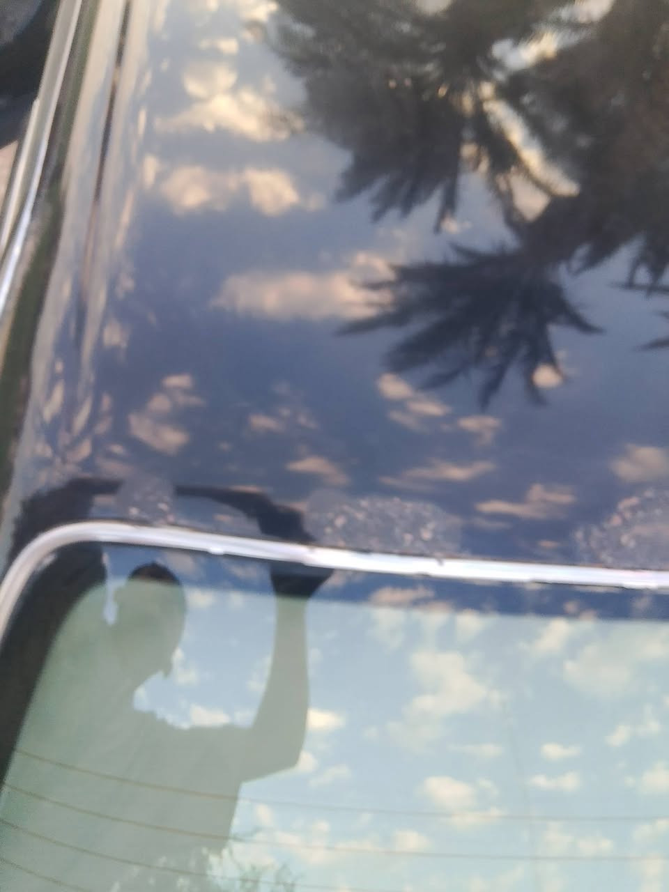 السلام عليكم أرنب للبيع مديل 93ضربته جاملق خلفي مكانه ذي قار استفسار أكثر ***********
