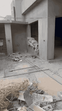 اعلان رقم (2073)

#هيكل للبيع طابو صرف 
#مساحه 200م طابقين 
#موقع  كركوك قرب كراج بغداد 
#هيكل  لبخ +لاش+تأسيسات مجاري وكهرباء+دكت كامل 
               باقي نقص  مثل ماموضح بالفيديو 
#السعر  230 مليون 
#الاتصال على الارقام التاليه 
***********
***********
***********
#عنوان المكتب 
مكتب هبة للعقارات في كركوك سايدين حي الواسطي قرب مول حجي زياد ومقابل صيدليه ضحى عدنان 
#نستقبل جميع عروظاتكم السكنية والتجارية في كركوك
