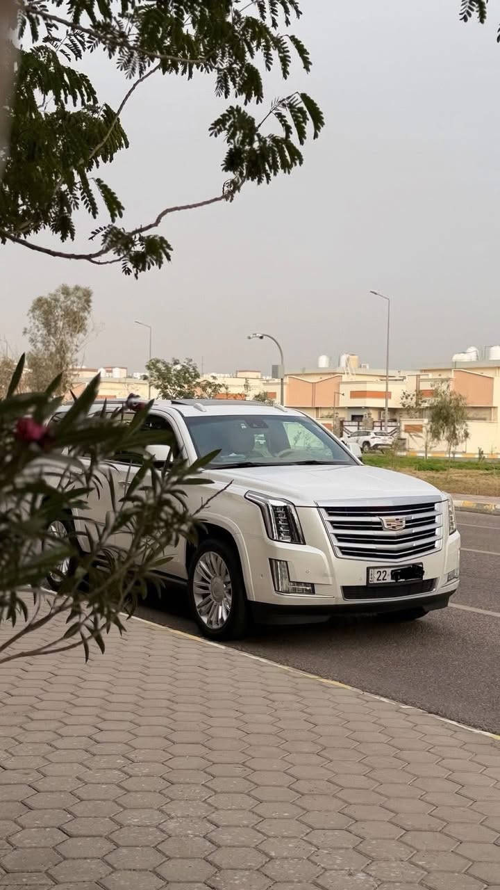 السلام عليكم كديلاك اسكاليد موديل 2018 خليجي وكاله المنصور بلاتينيوم VIP دبل رادار فول مواصفات هزه ورقم اربيل الجديد كفاله ضربه وتبديل وصبغ وبارد وشخوط حته الدعاميات ماشيه 105KM جديده السياره . 
العنوان : بصره 
رقم الموبايل ***********
