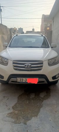 سنتافي • ٢٠١٢ • دون صبغ