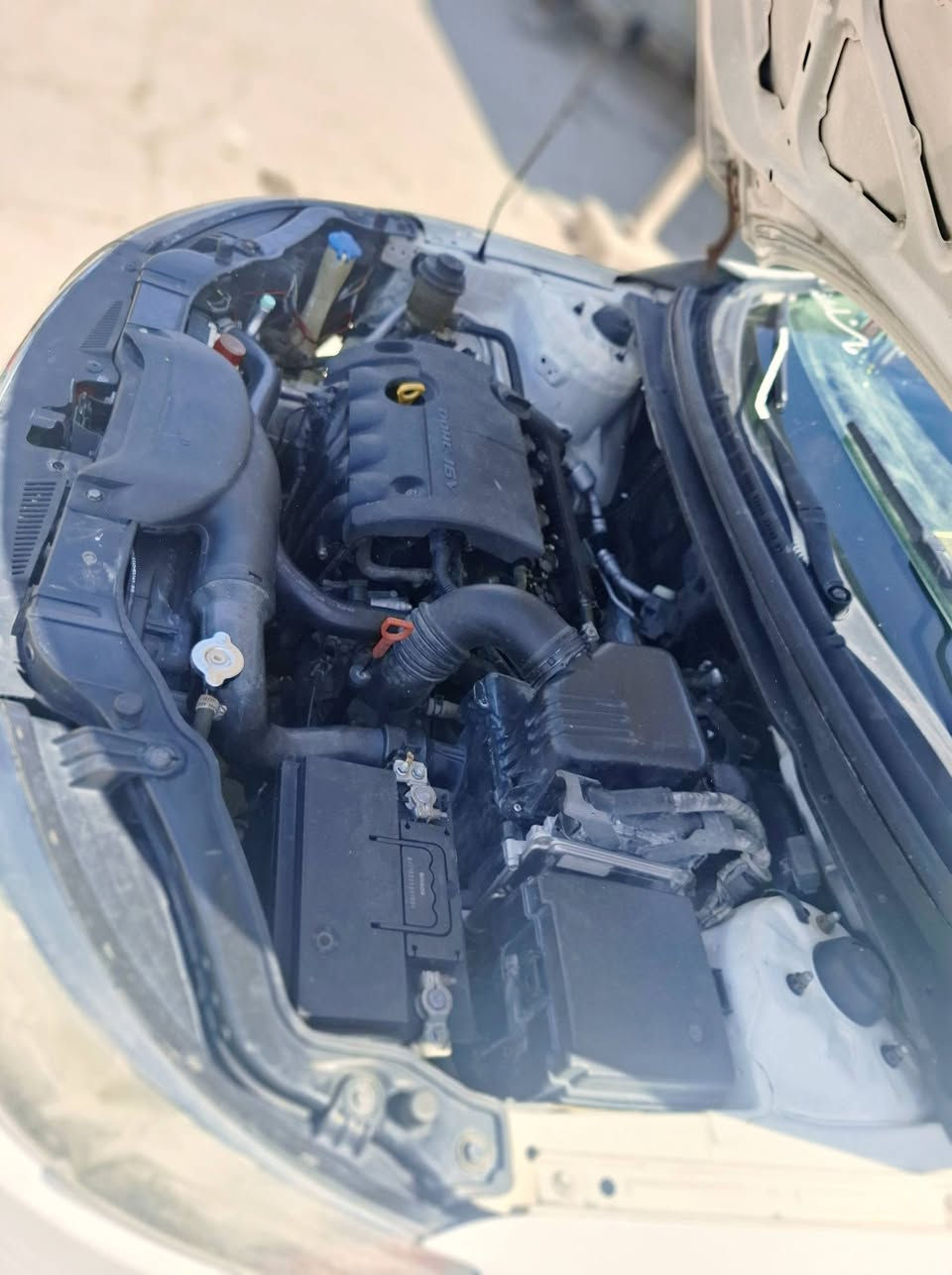 السلام عليكم مراوس فقط
عندي سيراتو رقم صلاح الدين مديل 9خليجي كير ومحرك شرط صدر جديد كمبريسر وراديتر جدد تبريد ثلج السياره تريد ترتيبات بصيطه اريد مراوس بكورلا حتلا مصبوغه عادي بس تكون رقم شمال ماريد محافضات اريد شمالي  مكاني صلاح الدين سامراء *********** اتصل ودلل
