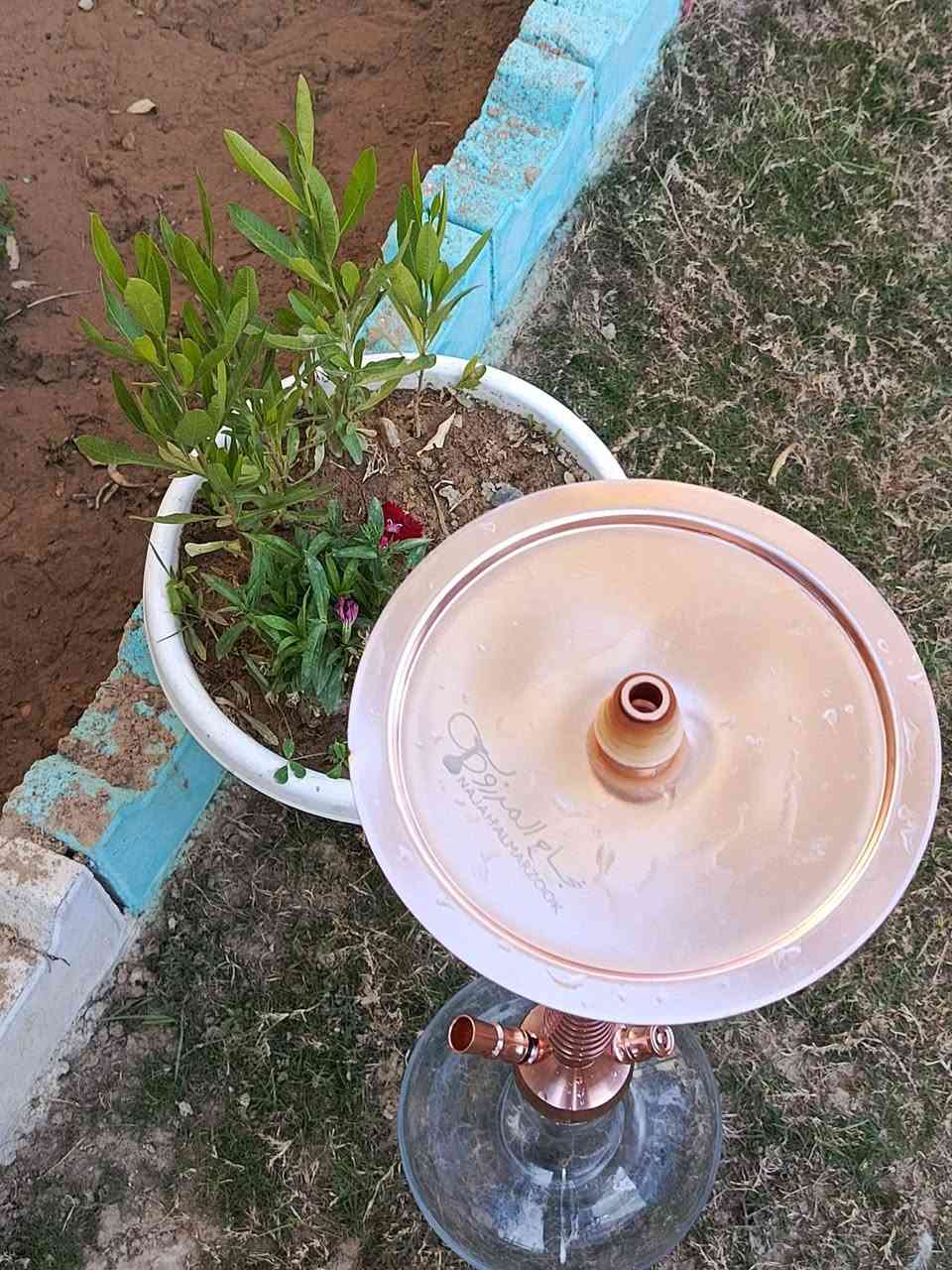 الـسـلام عليگـم
مـن رخصـة الادمـن نـركيلـه للبيـع سـلستيـل اصلـي ضـد الصـدا والـزنجـار مغسـوله وكأملـه للبيـع + مكفـوله مـن سـرقه وعشـاير لان خـالي يـريد يتهمنـي بيهـا 😂😂🤍🚶‍♂️المهـم مـوصلـه {40}الـف 🤍


**إذا كنت صاحب هذا الإعلان وتريد حذفه لأي سبب، رجاءا أرسل رسالة إلى الدعم الفني**