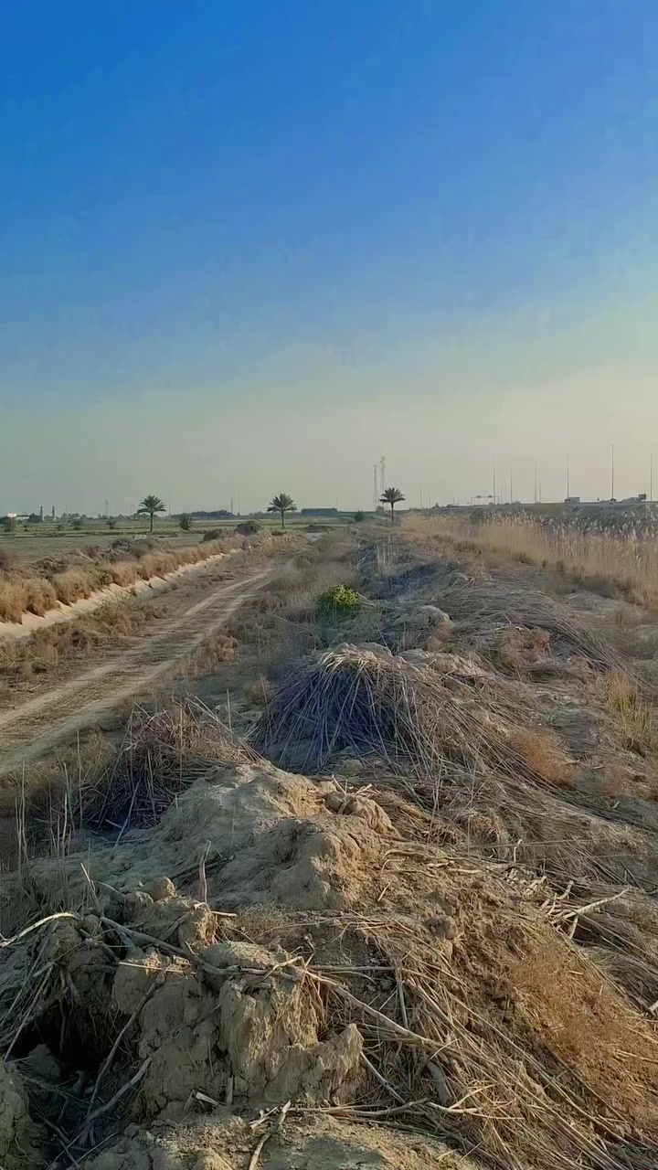 🏢 AL BARON REAL ESTATE
مكتب البارون للعقار
✨ فرصة استثمارية مميزة
📍 أرض زراعية – موقع استراتيجي
على السريع الدولي مباشرة
قرب جسر المشروع
📏 المساحة: 8 دونم
📄 النوع: عقد
— — — — — — — — —
المميزات:
• واجهة مباشرة على الشارع الدولي
• موقع حيوي وسهل الوصول
• مناسبة لمعمل | مزرعة | مشروع استثماري
• أرض مرتبة وجاهزة للاستثمار
— — — — — — — — —
💼 استثمار ذكي يبدأ من موقع قوي
📞 للتواصل:
***********
يوسف البارون
📢 ملاحظة:
نستقبل جميع العقارات للترويج والإعلان باحترافية
