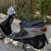 فراشة • حلة • مركز المدينة