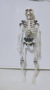 مجموعة رعب • ديكور رعب • زينة رعب