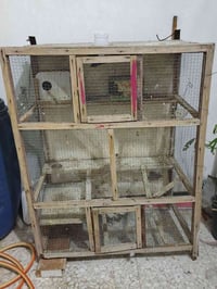 قفص طيور • بيت طير • حي التراث