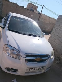 افيو • ٢٠١١ • النجف