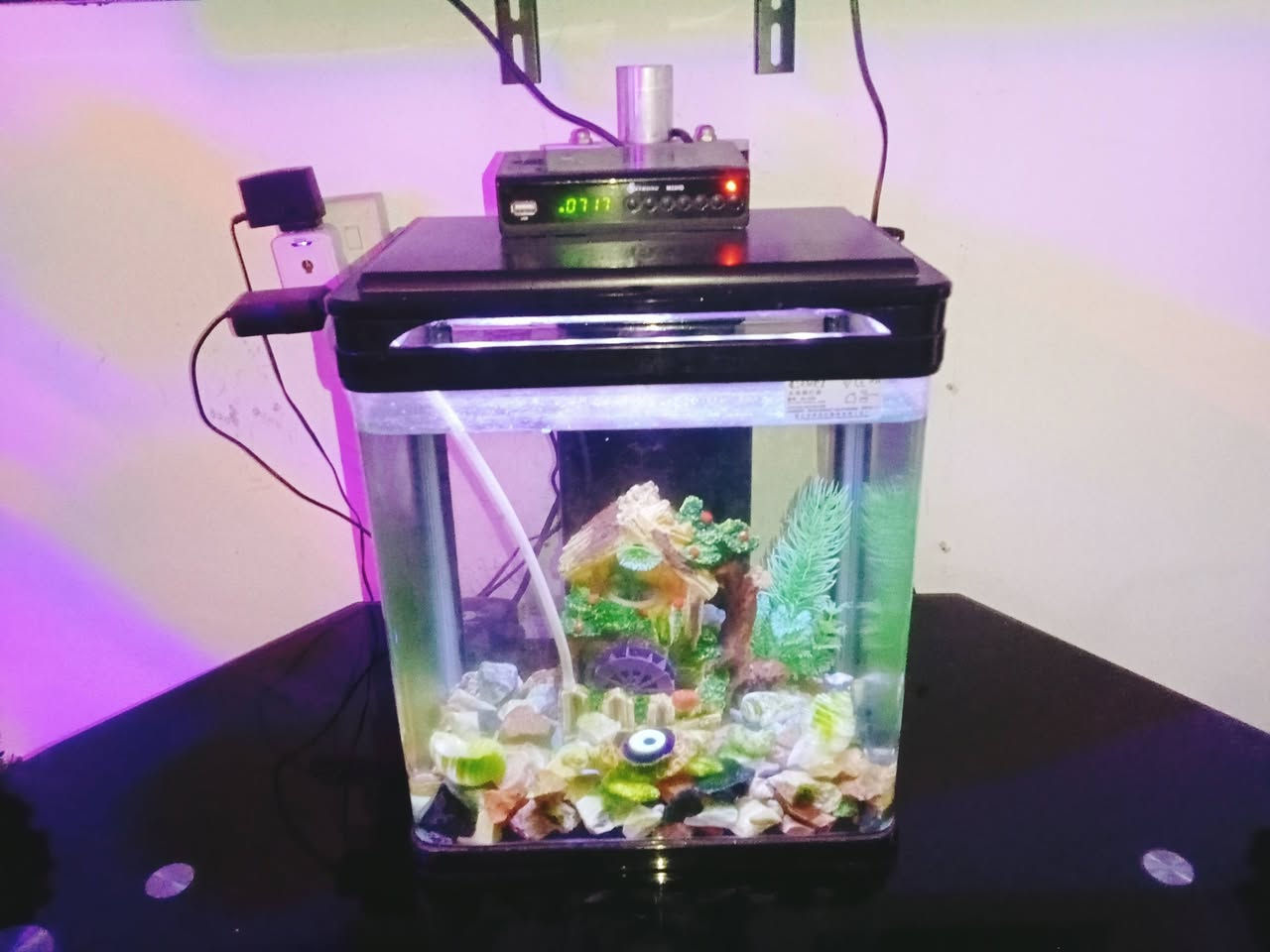 السلام عليكم حوض سمك للبيع السعر 35 مع الماطور والغراض مالته الحصو والنافوره اللي بداخله مكان بغداد رقم تليفون واتساب ***********
