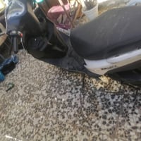 نكرة • سلف • ٢٠٢٢