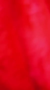 طقم ٧ قطع • ٤ مخدات • توصيل مجاني