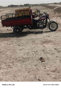 ستوتة • ٢٠٢٥ • اوراق بهية