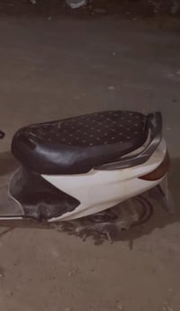 فراشة • ابيض • كايمة