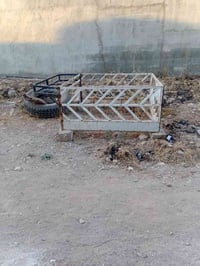 محجل • دبل • نظيف