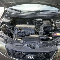 سيراتو ٢٠١١ • خليجي • كشنات جلد