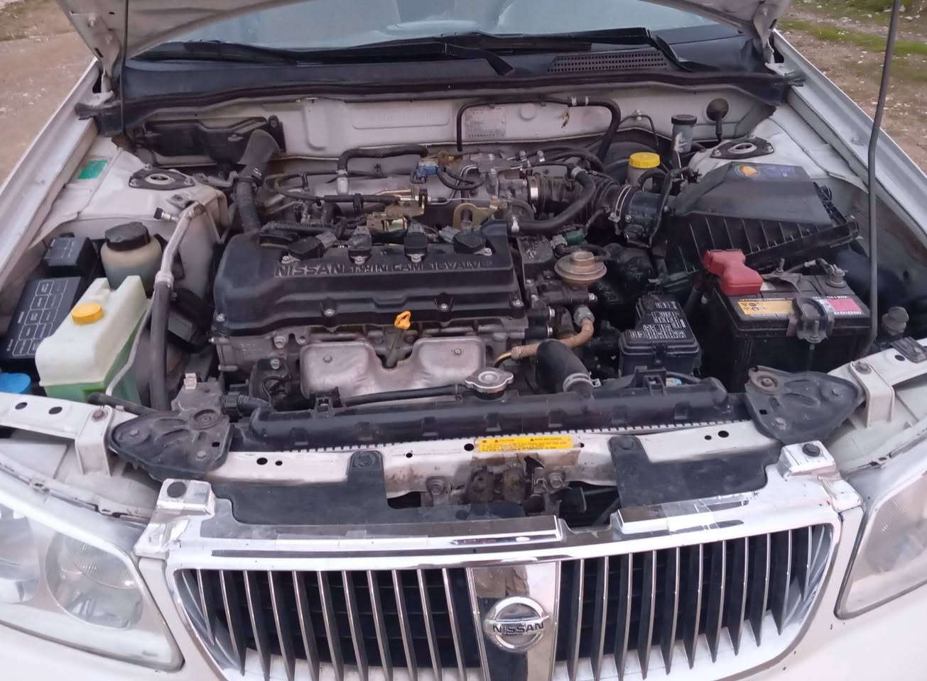 نیسان سنی یابانی ٢٠٠٩گێڕعادی سپی سەدەف مەکینەوگێڕوهەمووگیانی بەشەرت نیوچەمەلەغی بویاخە بێناوگرتن سەنەوی تاکو2030تازەیەوبەناوی خۆمەوەیە
هی مالی خۆمە چواتایەتازەی بوبەستراوە کامک سێرڤسی بوکراوە
نرخ93مامەلەیەکی کەم
***********
***********
