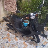 بوتين • مطور • محرك نضيف
