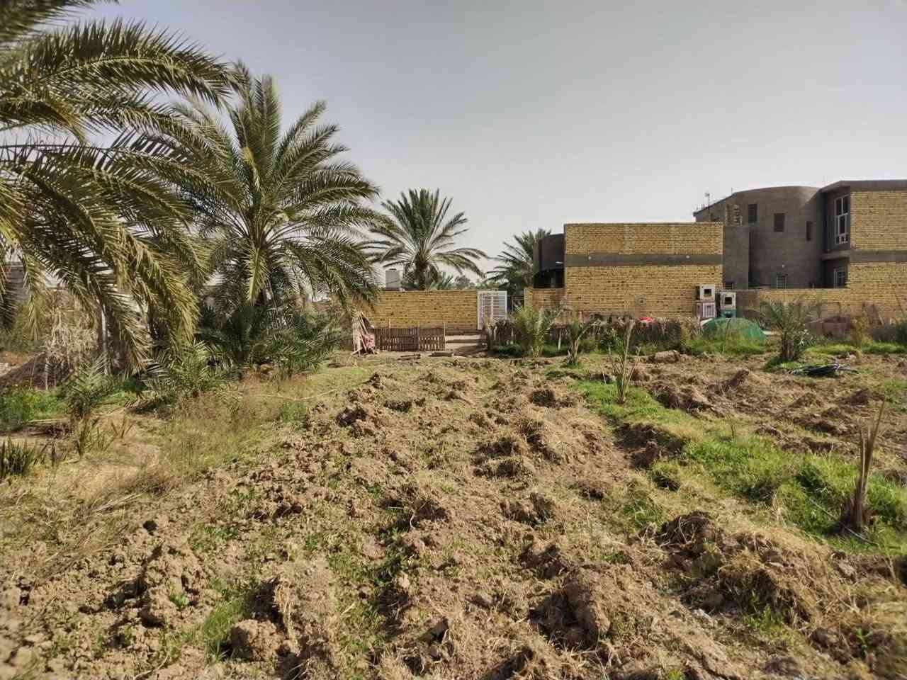 دار ٣٠٠متر بناء حديث مع دونم ونص
٤٠٠٠ متر مع الدار

سند ٢٥ للبيع كوت حي الحكيم التفاصيل 

***********
