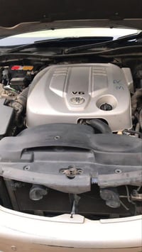 شاهينه • ٢٠٠٧ • البصرة