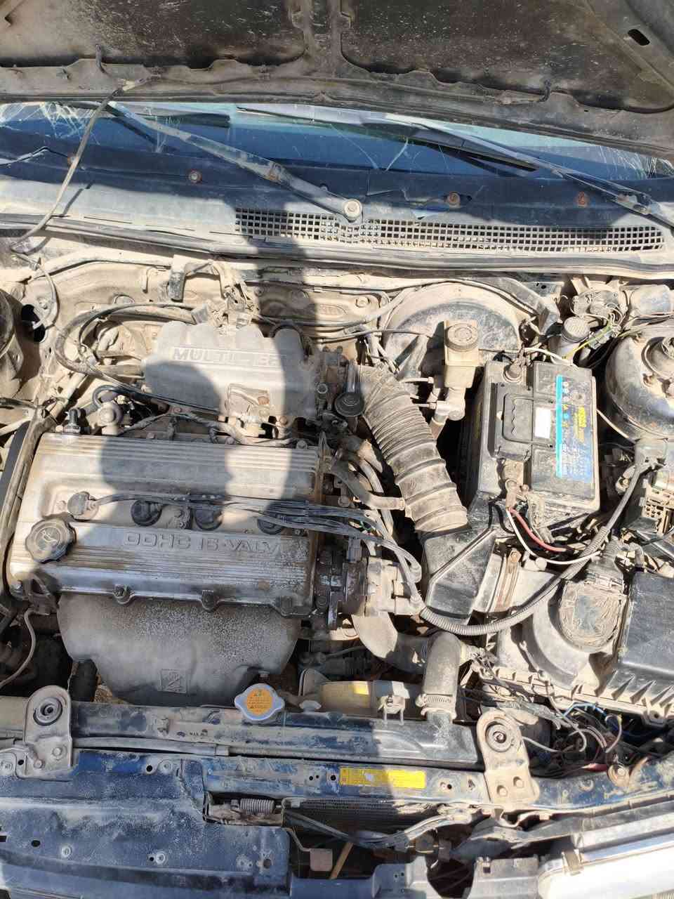 كيه سيفيا البيع السعر 18 بيه مجال سياره جاهزه عندي رقم ابو وكاله شغاله مانقصه شي ترهم مراوس السنويه تفاصيل من المرور رقم بابل رقم الهاتف *********** العنوان بابل سياحي
