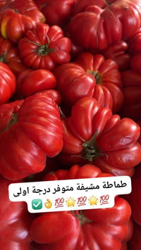 فواكه وخضروات • ابو مصطفى • خانقين امام عباس