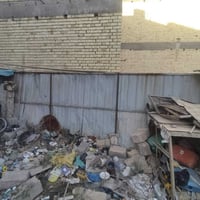 جينكو وشخاط • باب جاهزه • ثنين سندوجات