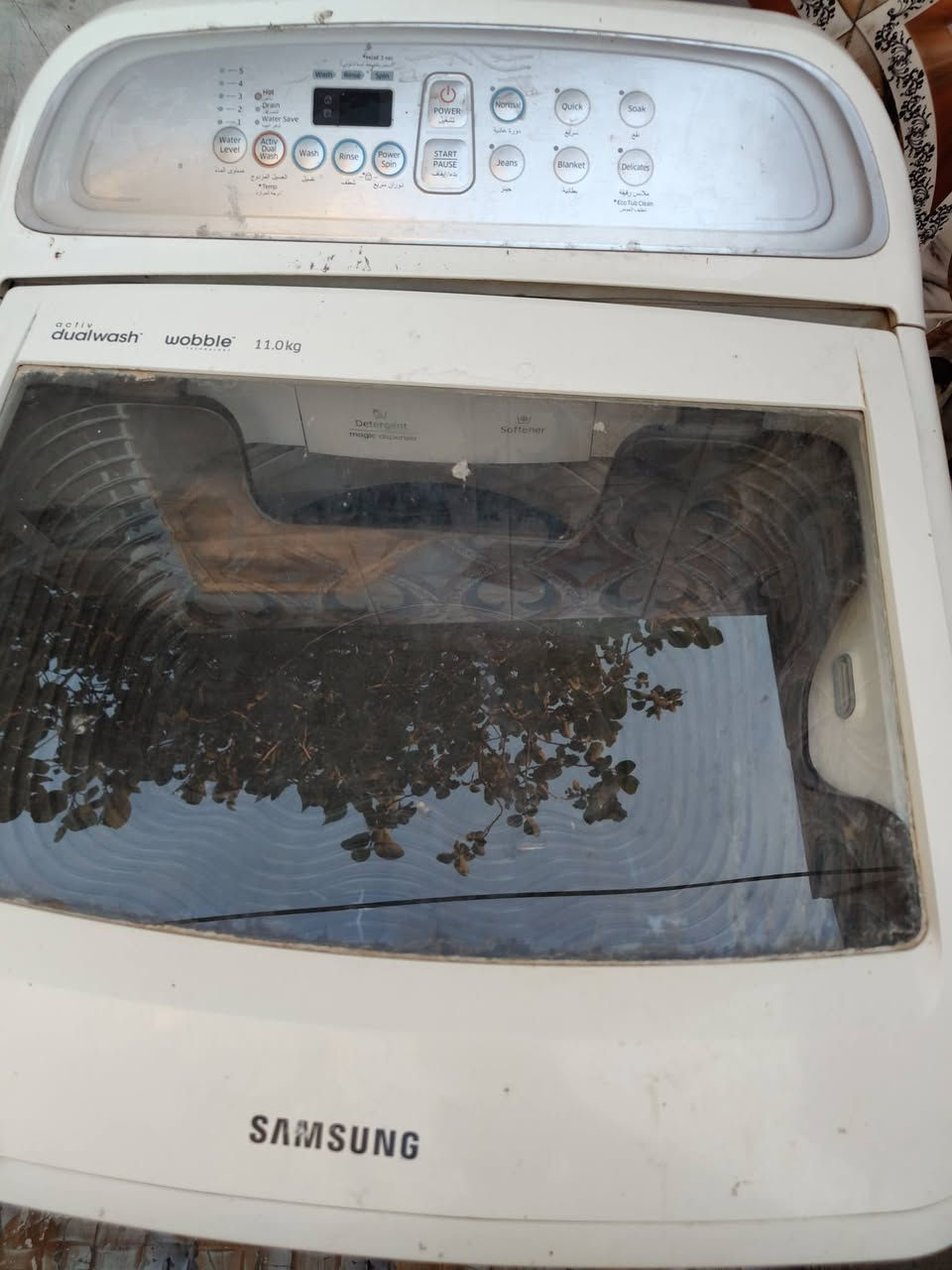 غساله شغاله كلشي ما بيه قيم وخذ مكاني ميسان القادسيه


**إذا كنت صاحب هذا الإعلان وتريد حذفه لأي سبب، رجاءا أرسل رسالة إلى الدعم الفني**