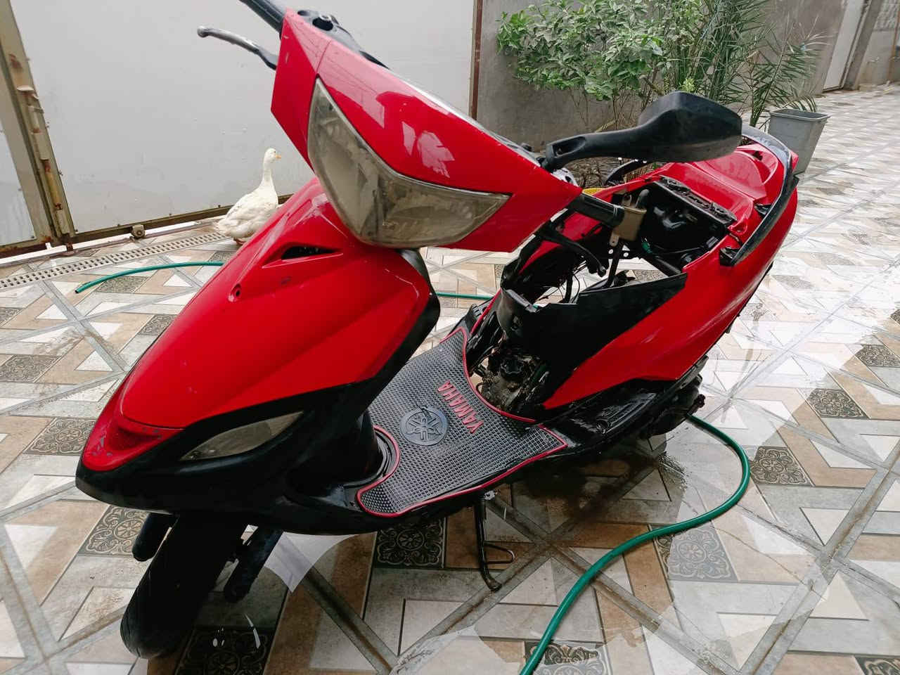 دراجة ماكس 140 دراجة نضيفة السعر (300)او مراوس  وبيهة مجال للشراي مكاني دوانية فرات شارع الصب بلا زحمة المو شراي لا يعامل رقم الهاتف ***********
