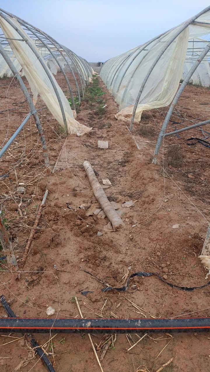 السلام عليكم عندي بيوت العدد اثنين اردني 24 قوس 56 متر العرض 9 نظافه درجه اولى العنوان محافظة كركوك قضاء الحويجه***********
