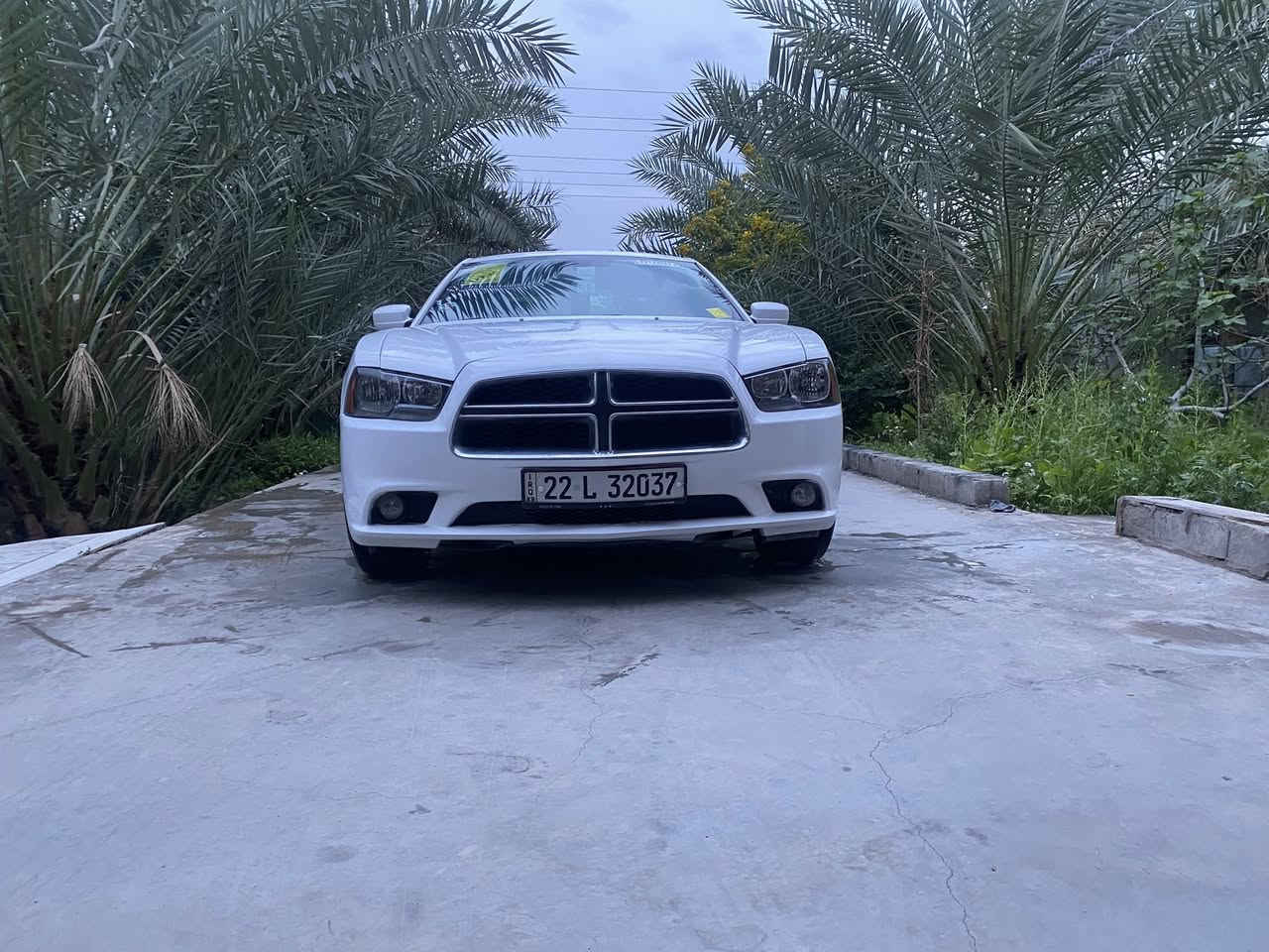 يالله السلام عليكم
لبيع دوج جارجر 2014 رقم اربيل سنوية ل30 
مكينة ٣٦٠٠ تويل 
وارد خليجي كلين تايتل سيارة كفالة عامة من الصبغ والتبديل والفتح بيها جرات كارت فقط بل بلبيان فقط هذا 
سيارة جديدة كلش سيارة جاهزة خير من الله مكينة گير حدادة لوك  اكسن تبريد تخم تاير ويل ١٨خليجي بدون اي نواقص 
السعر 167وبيها مجال لشراي 
مكاني بصره قضاء القرنة
***********
