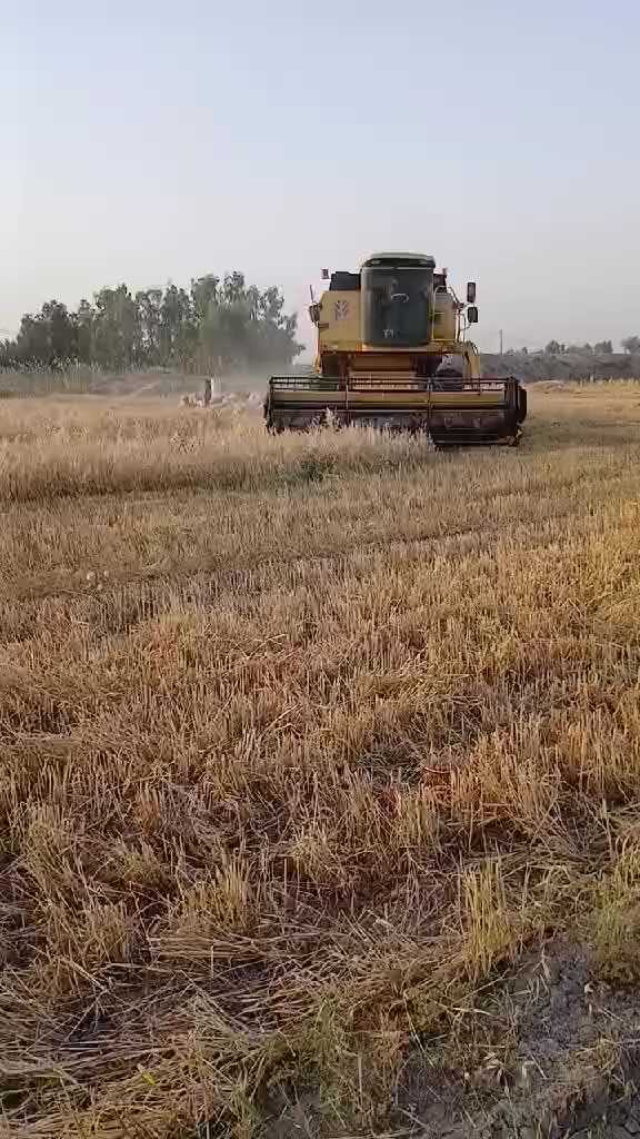 سلام عليكم حاصودة ٥ بلم هيدرو تك درام موديل ٢٠٠٥ رقم أربيل سنويه لل ٣٠  محرك شركه لاتنقيص ولا بخارسعر ٦٣ بيهه مجال ***********.  ***********  مكان بغداد الرضوانيه
