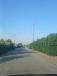 طابو زراعي • ١٠٠٠م • سند ٢٥