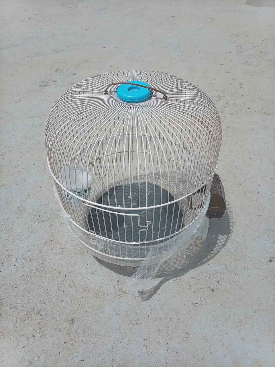 اقفاص للبيع شراي ادفع سعر لا اتكلي بيش الواحد عجبني سعرك ابيعك الموصل الجانب الأيمن


**إذا كنت صاحب هذا الإعلان وتريد حذفه لأي سبب، رجاءا أرسل رسالة إلى الدعم الفني**