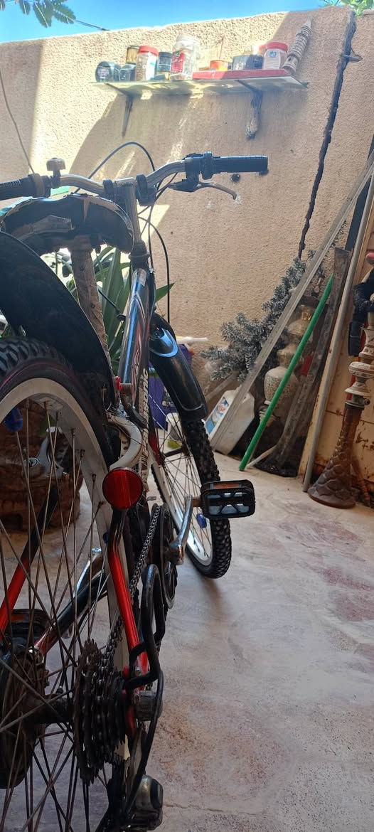 سلام عليكم باسكل جبلي عكرب للبيع السعر  70 وبي مجال للطيبين
 العنوان ابو خستاوي شارع الغسل


**إذا كنت صاحب هذا الإعلان وتريد حذفه لأي سبب، رجاءا أرسل رسالة إلى الدعم الفني**