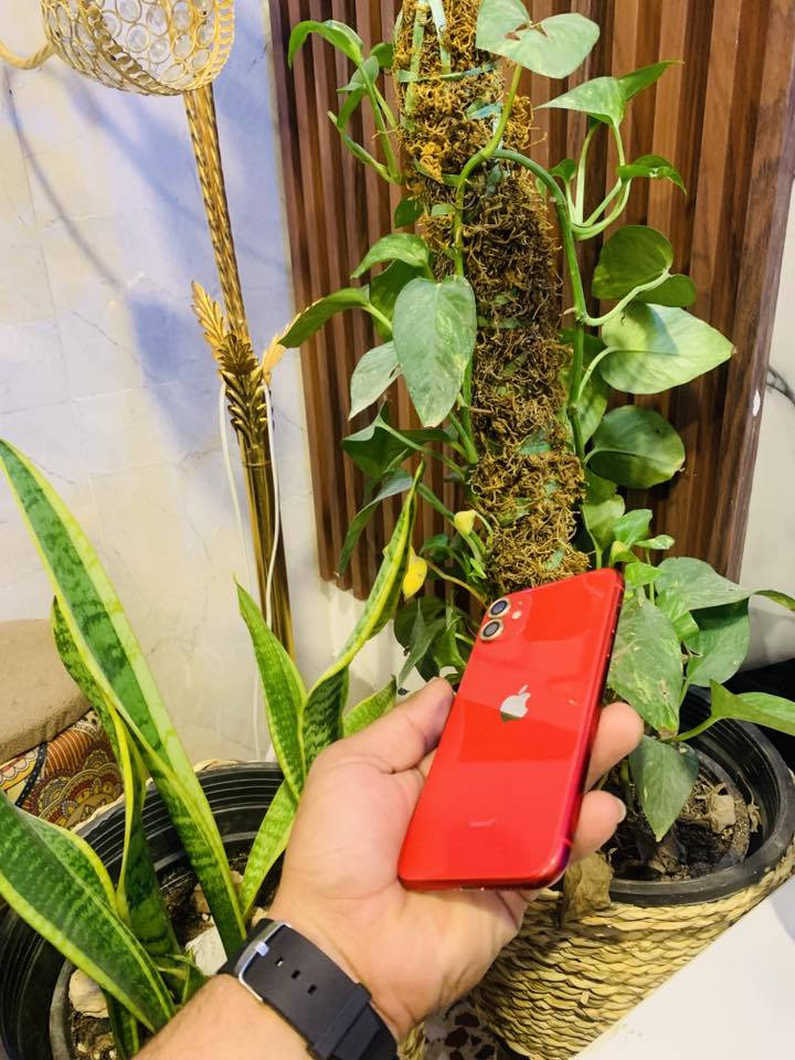 ايفون ١١ ماستر كامل ملحقات
بطارية : ١٠٠مبدل من شركه ابل 

ذاكرة : ١٢٨ 

فيس ايدي شغال 

السعر٢٣٠

دبل خط 

شاشه تفصيخ مال وكاله شرط 

نضافه الجهاز١٠٠بل١٠٠

مكاني حله ابو خستاوي  

‏***********
