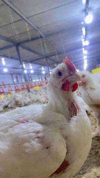 07777669301 سلامو عليكم مربي او كادر عمال تشريح تشخيص حالة نشتغل جميع ...