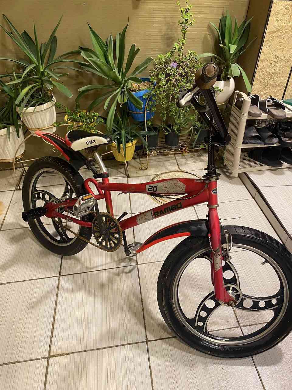 بايسكل للبيع نوع ( Bmx) بحاله جيدة جداًنظام بريك خلفي بالبايدار السعر 60 الف وبي مجال بسيط مكاني الغزالية الكفاءات


**إذا كنت صاحب هذا الإعلان وتريد حذفه لأي سبب، رجاءا أرسل رسالة إلى الدعم الفني**