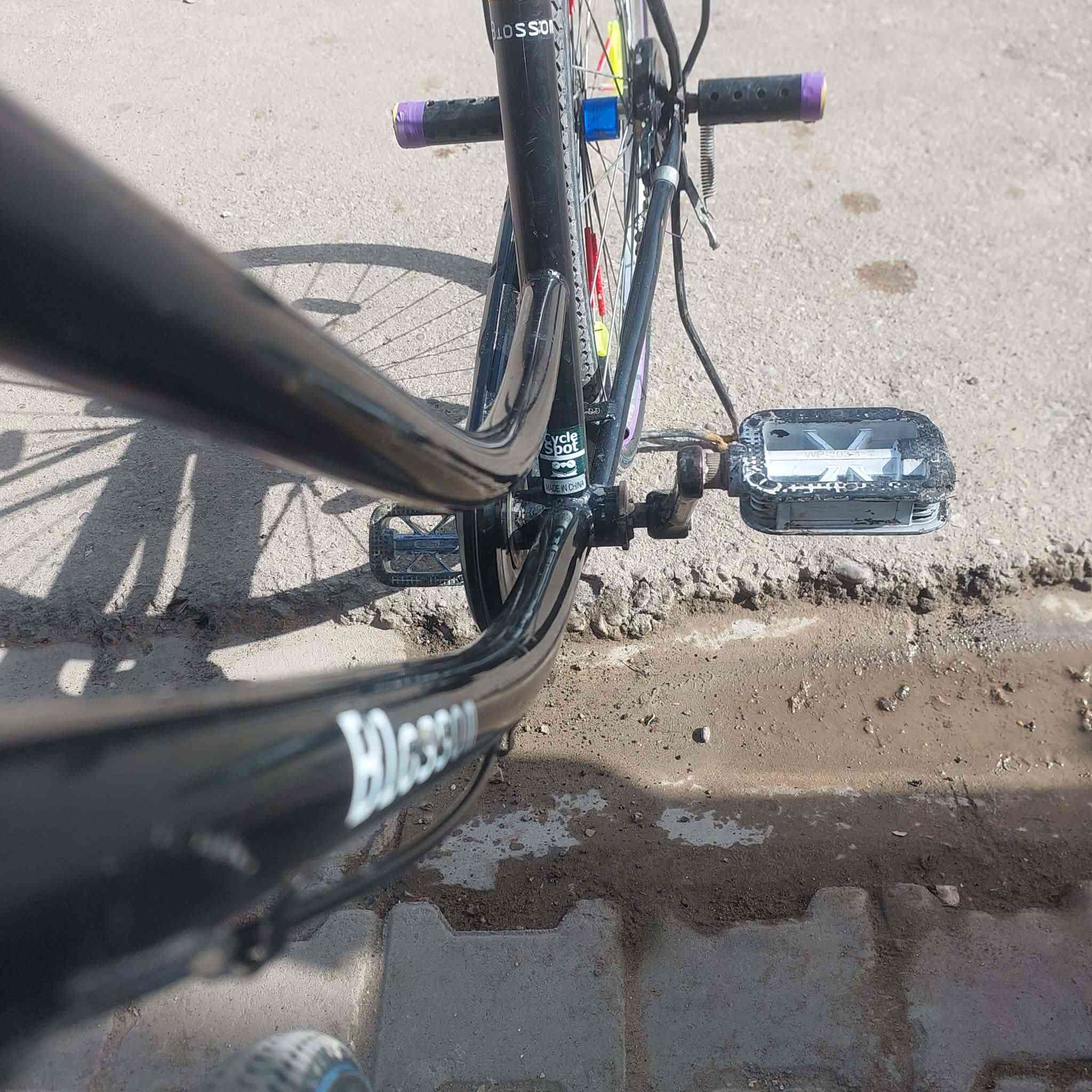 اسلام عليكم باسكل مديل 21 لحجم 26 مراوس وبيع سعر 90 وبي اجال لخاص مفتوح


**إذا كنت صاحب هذا الإعلان وتريد حذفه لأي سبب، رجاءا أرسل رسالة إلى الدعم الفني**