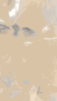 سلام عليكم شلونكم شباب سمكره جميع تكاتك اخياس او مدعوم كافه المديلات العنوان ميسان حي صناعي استفسار *********** سمكره سيد عباس البطاط
