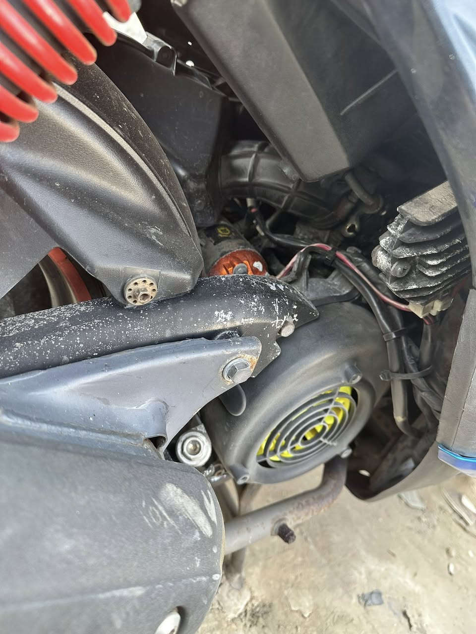 مراوس بعدله مزوده مال لعب او بلادي بس قويه نضافه فول معدل وشلعه فول مصار شهر ونص منزلها مابيها اي نقص 
*********** واتساب فقط
