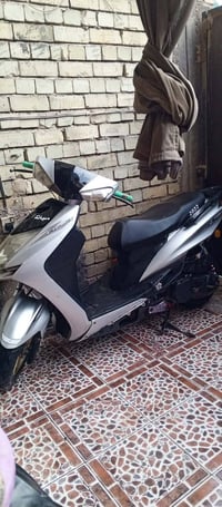 سكنس • أوراق كاملة • للبيع