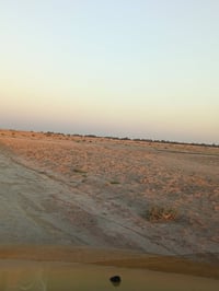 بحر النجف • ١٨ دونم • بير ارتواز