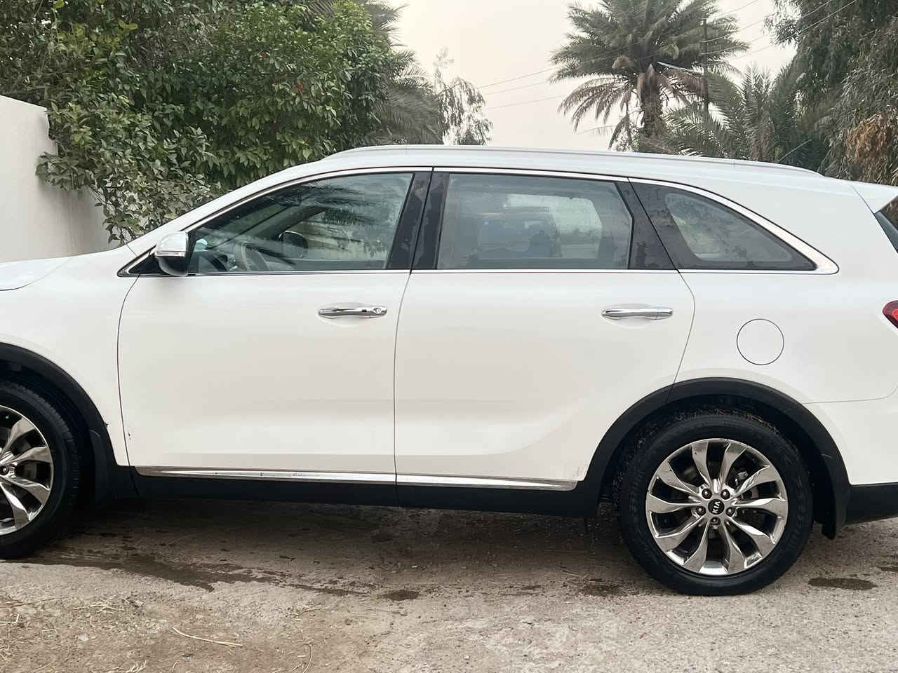 السلام عليكم
سياره سورنتو 2019للبيع فقط
السياره مكفوله كفاله عامه وارد خليجي فول مواصفات عدا الفتحه بصمه تشغيل بصمه ابواب وصندوق كهربائي السياره كامله من كل شي رقم بغداد 
السعر 240
 
مكان ديالى بعقوبه تقاطع القدس
***********
