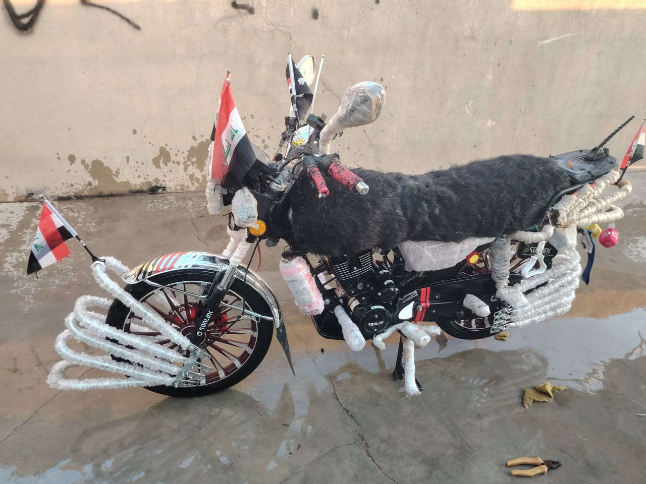 هاي لعيون الحويجه


**إذا كنت صاحب هذا الإعلان وتريد حذفه لأي سبب، رجاءا أرسل رسالة إلى الدعم الفني**