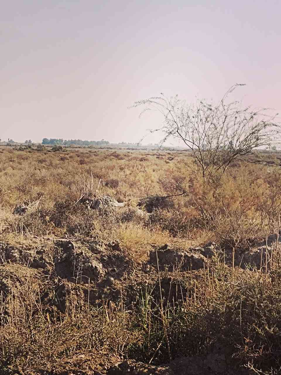 أرض زراعية ٣٠ دونم للبيع تقع على طريق الحي مقابل المعهد التقني الكوت كهرباء وماء سيح لسقي اوساله العقد الجديد ٢٤ الأتصال على هذا الرقم ***********
تصلح ان تكون مخازن مشروع حقول دواجن لانهاقريبه جدامن الشارع العام
