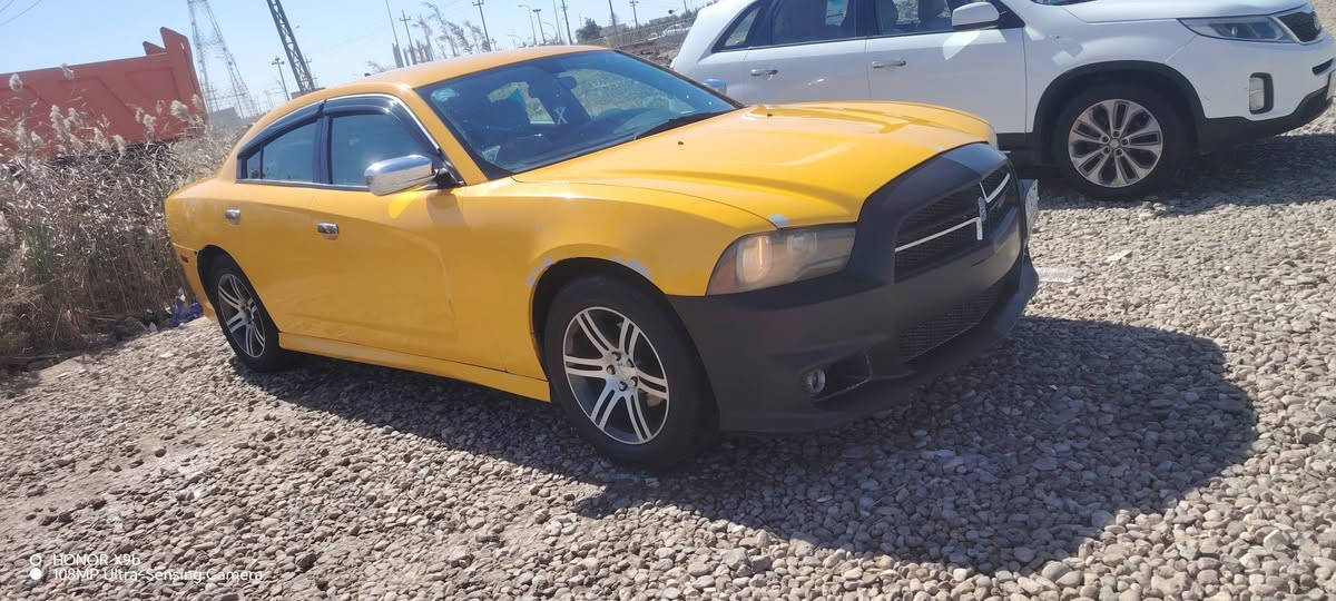 سلام عليكم جارجر موديل 2011 رقم ذي قار
مراوس او بيع السياره جاهزه من كلشي مكينه وكير وحداديه 80٪100 وتخم تاير واكسل ويل خليحي السياره ما اذب عليه ربع جاهزه من كلشي مصفره هيئه وغرامات  مداور ثاني يوم

حادثه جاملغ وبنيد وبيه شويه تعمير بل برانكيت بدون كص خاليه من العيب الشرعي 

 

السعر 140 وبيه مجال تفاصيل اكثر اتصل عله الرقم

*********** مكان ذي قار قلعه سكر
