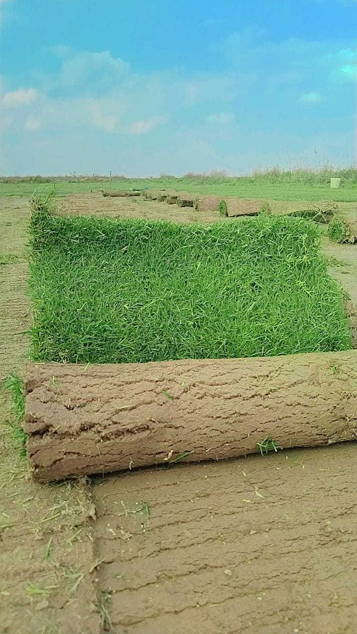 من مزارع ثيل ديالى الطبيعي
ثيل طبيعي وخضار ولا اروع 💚
كل انواع الثيل تلكوها عدنة وكادر متخصص متنقل يجيك لباب البيت
نوعية ممتازة ودرجه اولى ⁦1️⃣⁩
ودائم الخضره 

يتوفر لدينا جميع انواع الثيل الطبيعي 🌿🌲☘️
🌿ثيل هندي 🌲🍀

🌿ثيل امريكي 🌿🌳

🌿ثيل فرنسي 🌳🌲
مستعدون لتجهيز 
🌳الدور السكنية 🌿
🌲الدوائر الحكومية 🌳
🍀الحدائق العامة 🍀
نتميز بحسن الجودة والاسعار المناسبة 💪😊
للاتصال والاستفسار على الرقم التالي 

***********
***********
