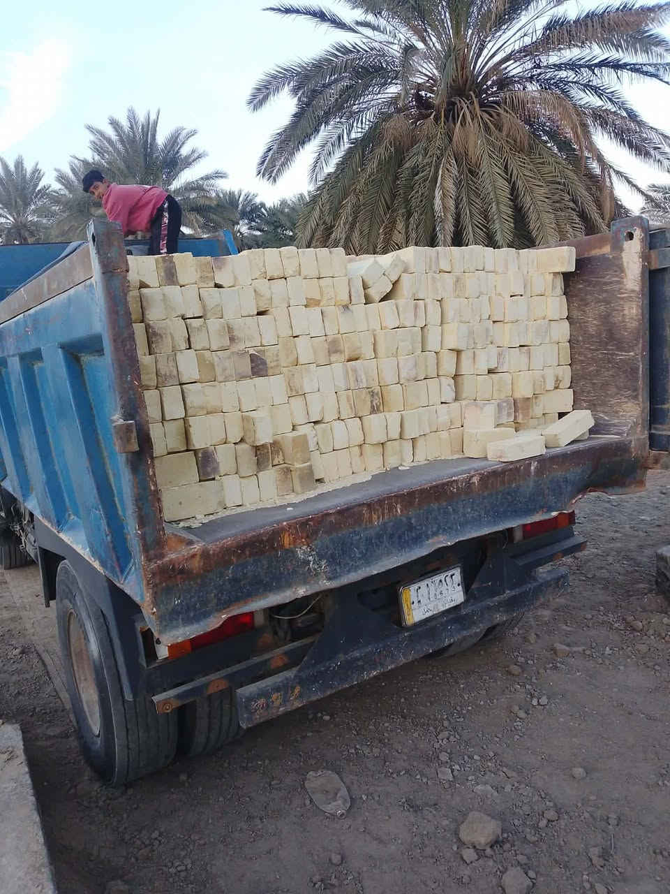 السلام عليكم 
طابوك ابو مدين العياشي شرط عل مكلاب لون وقوه وقلب 4000 وزياده انتصال بيك خير ودلال والسعر حسب مكانك ***********
