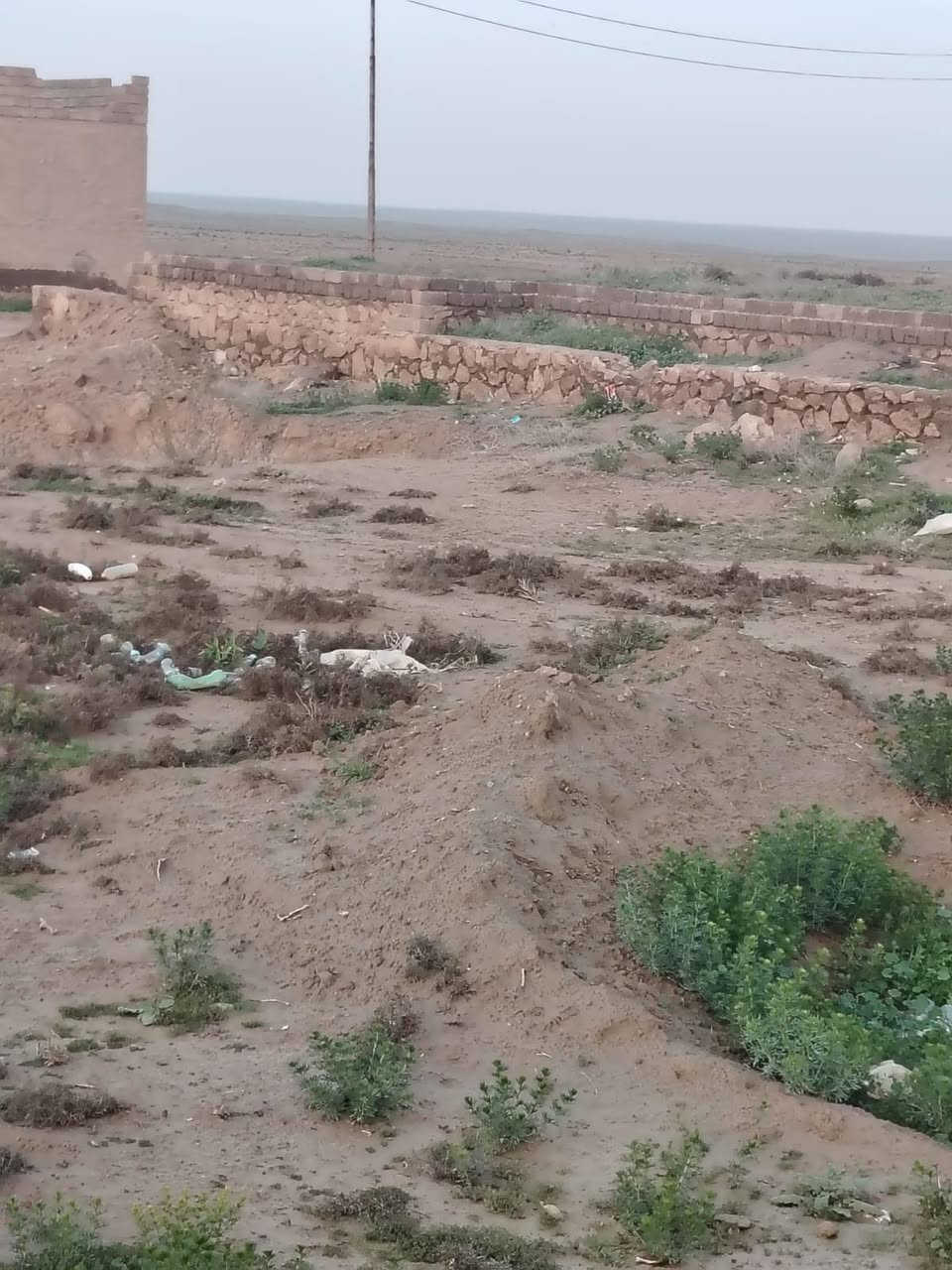 تكعيب للبيع الاستفسار عل خاص


**إذا كنت صاحب هذا الإعلان وتريد حذفه لأي سبب، رجاءا أرسل رسالة إلى الدعم الفني**