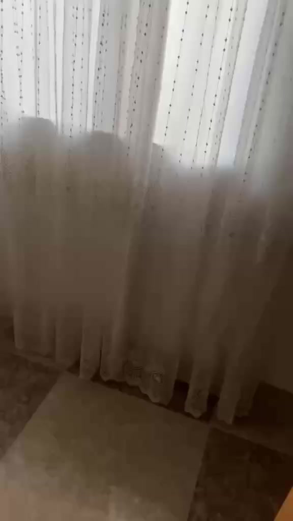 له بازيان به نرخي گونجاو


**إذا كنت صاحب هذا الإعلان وتريد حذفه لأي سبب، رجاءا أرسل رسالة إلى الدعم الفني**