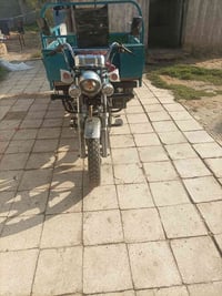 كلك للبيع مناسبه07851890443